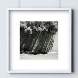 Limited edition art photo, numbered, dated and signed by the photographer