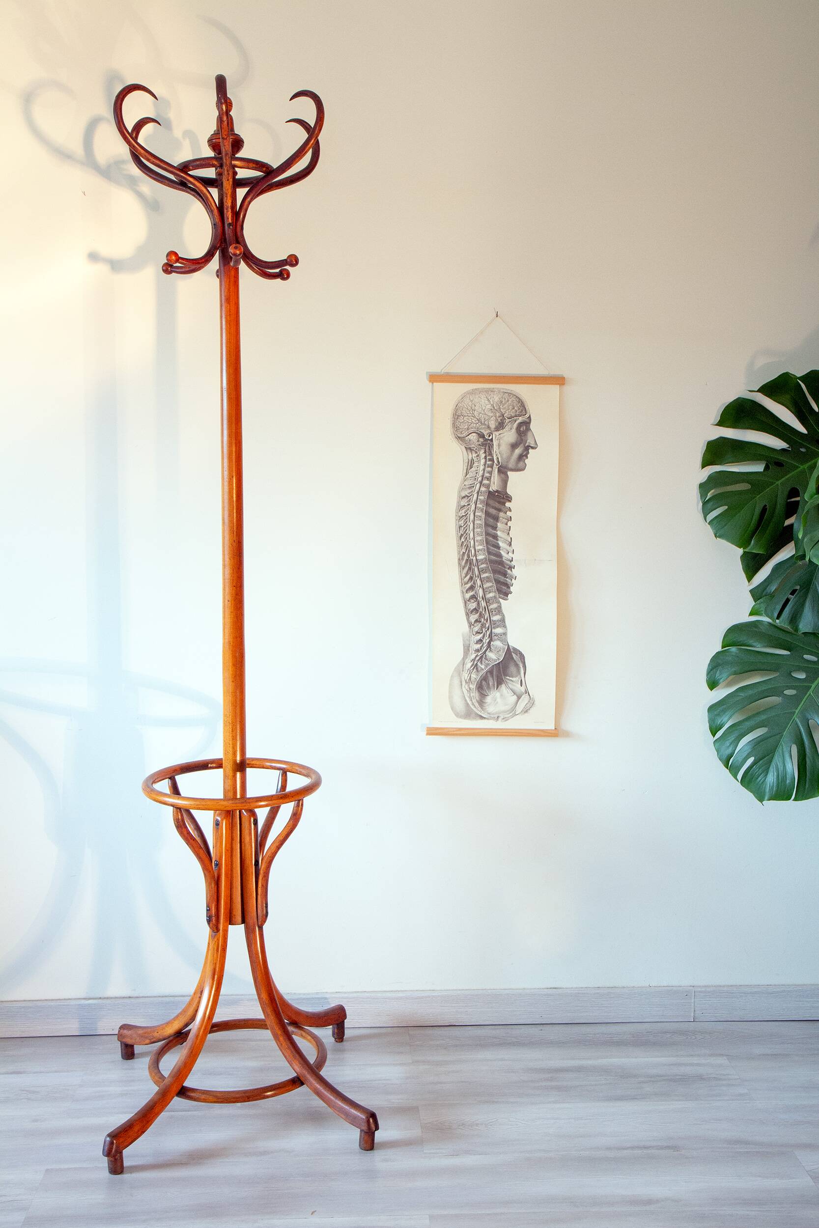 Bistro parrot early 20th century