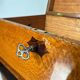 Historicism Box in Floral Ash Veneer and Rosewood, Austria, 1880s