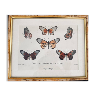 Butterfly frame
