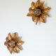 Paire d'appliques fleur