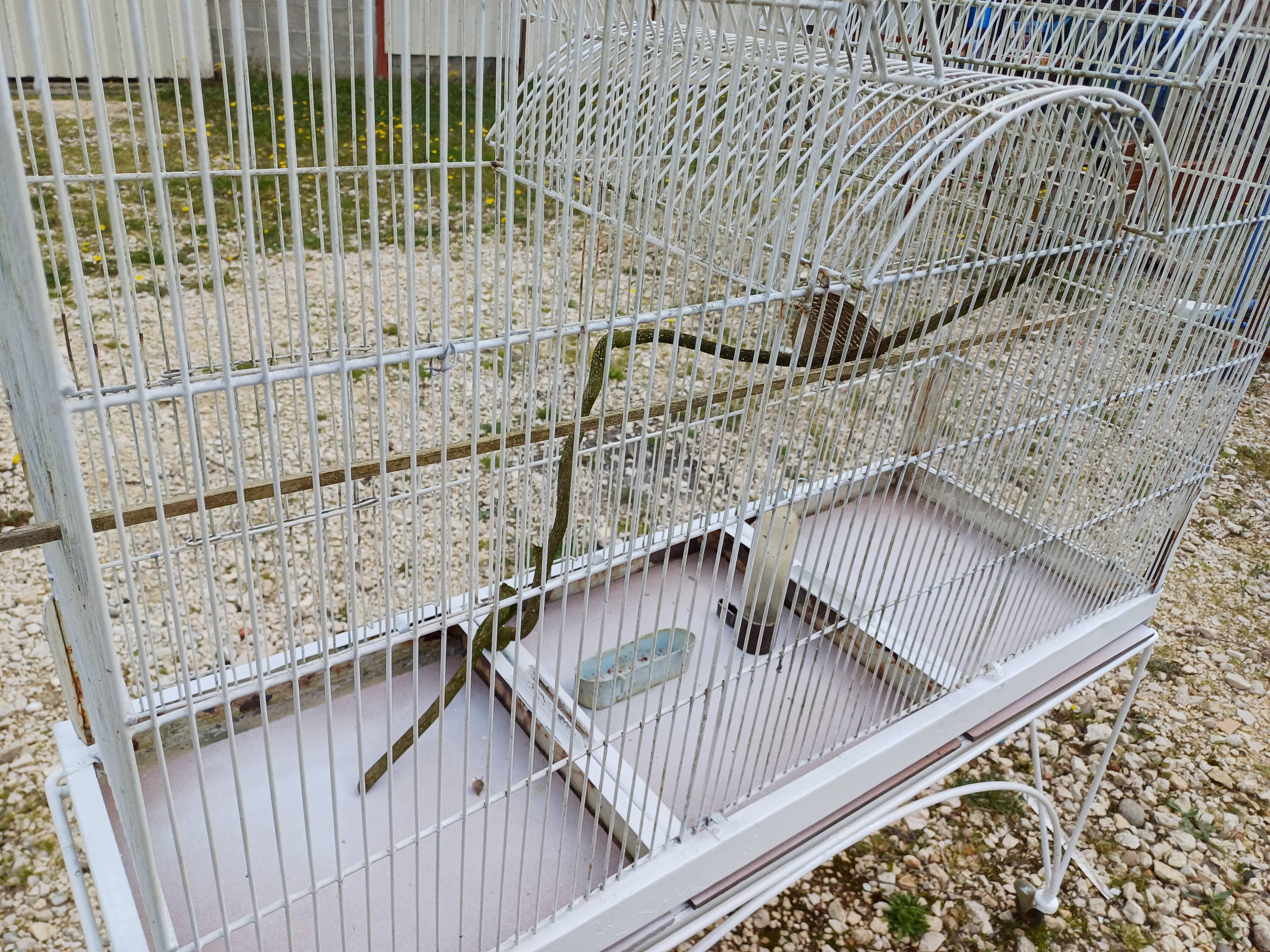 Cage à Oiseaux Fer 1900