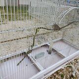 Iron Bird Cage 1900