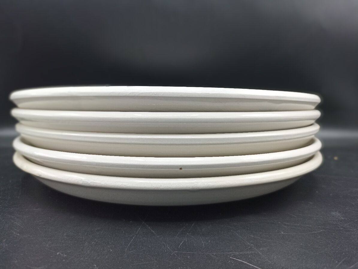 5 mismatched plates Digoin-Sarreguemines