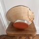 Cabinet of curiosities giant shell circled cup and base 60s