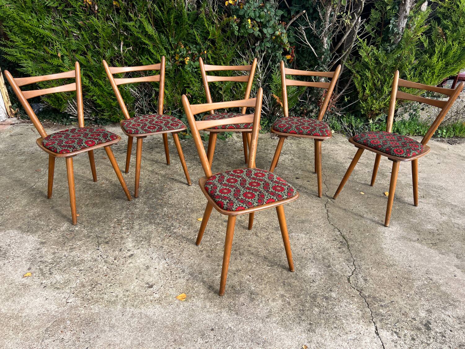 Set of 6 Becker chairs.