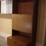 Vintage teak library