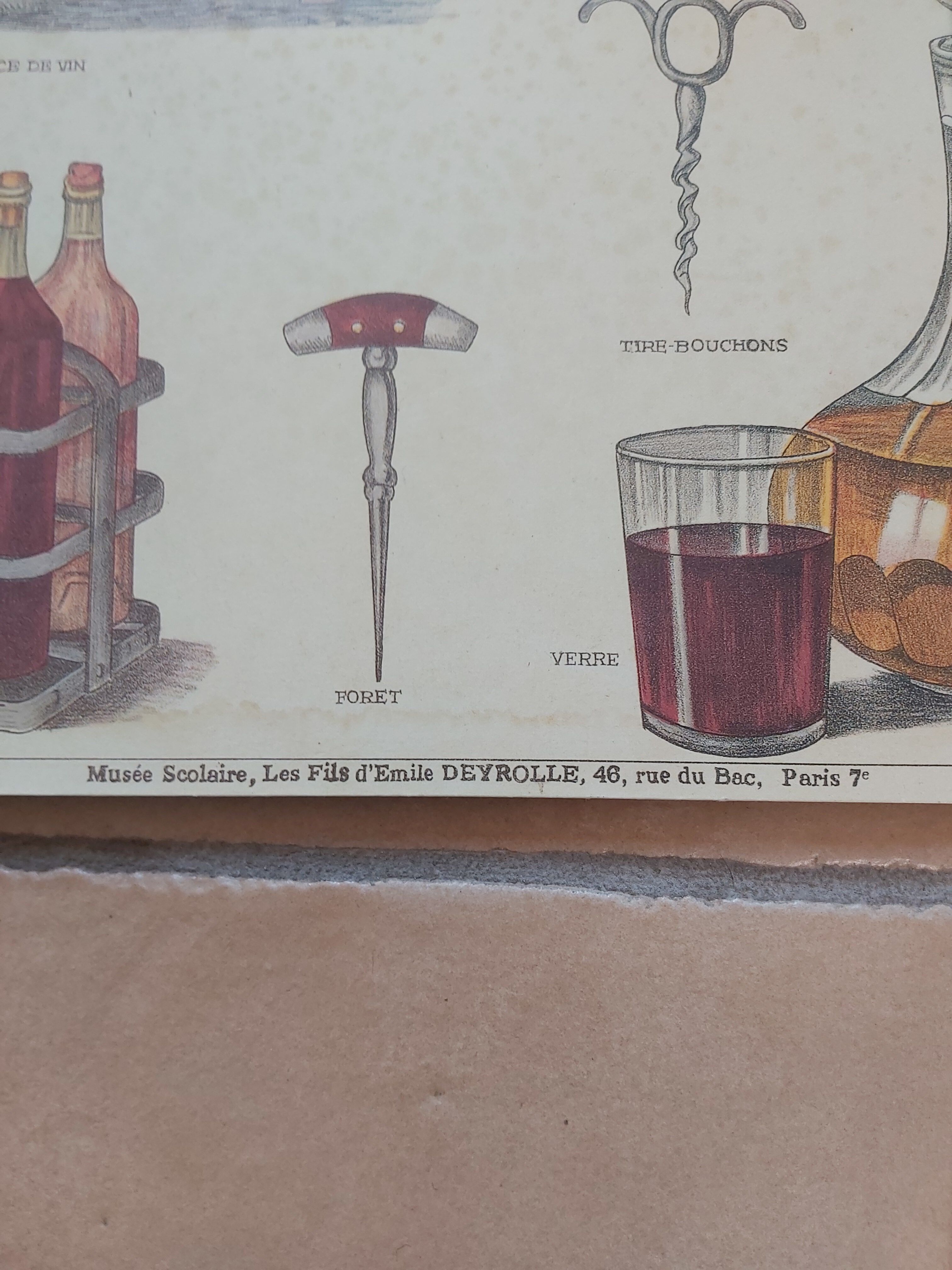 Vintage Deyrolle poster