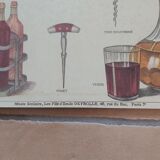 Vintage Deyrolle poster