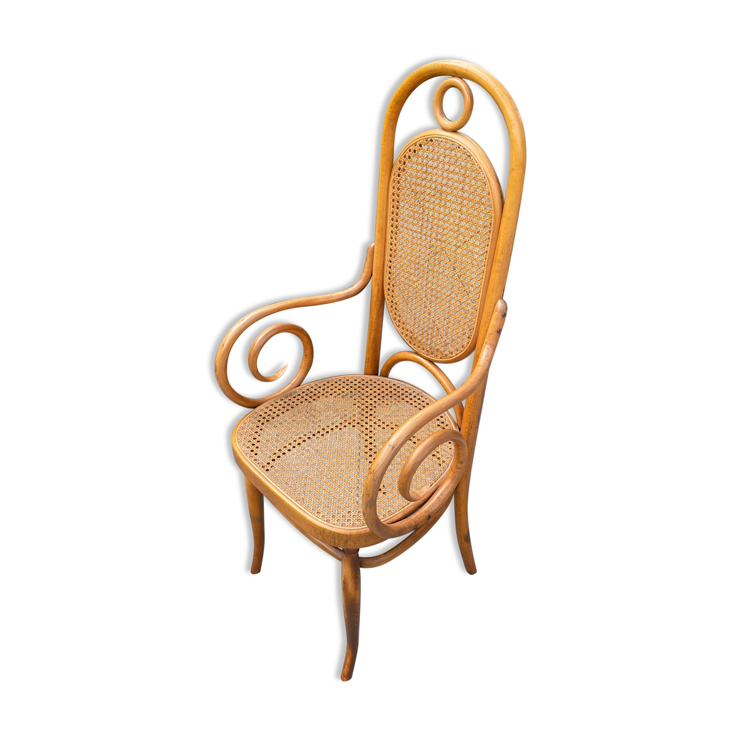 Sculptural bendwood side chair model