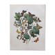 Illustration gravure animal vintage - Buffon 1850