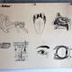 Boards of the human body medicine or school