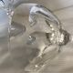 Crystal champagne glasses