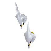 Paire de appliques murales en forme de feuille de "Calla Lily", en verre de Murano et laiton doré, vers les années 1970, Italie.