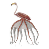 Chimera lithograph animal engraving - the pink flamoulpe