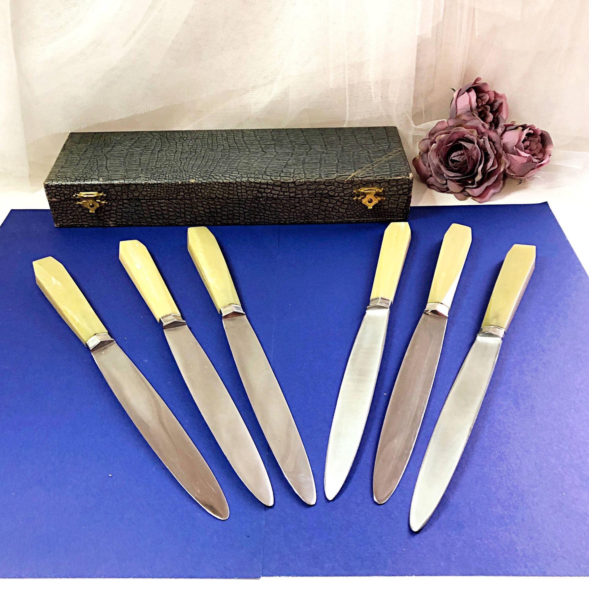 Coffret de 6 couteaux de table manche bakélite France début XXe