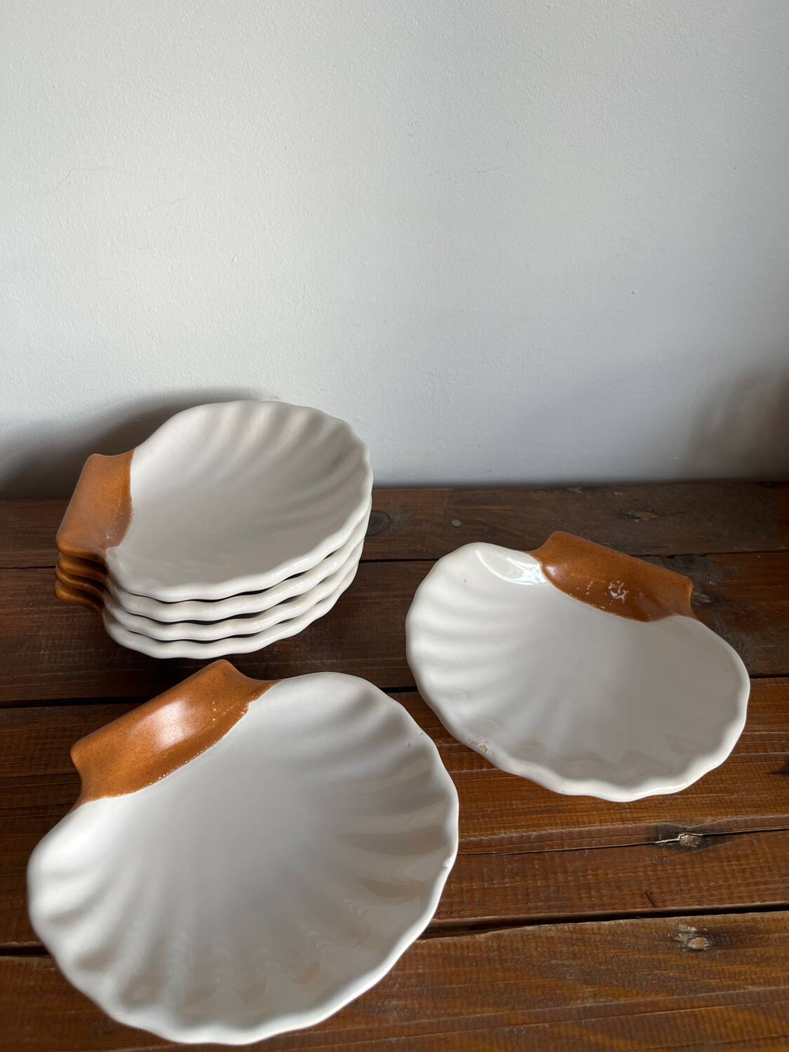 6 shell-shaped bowls