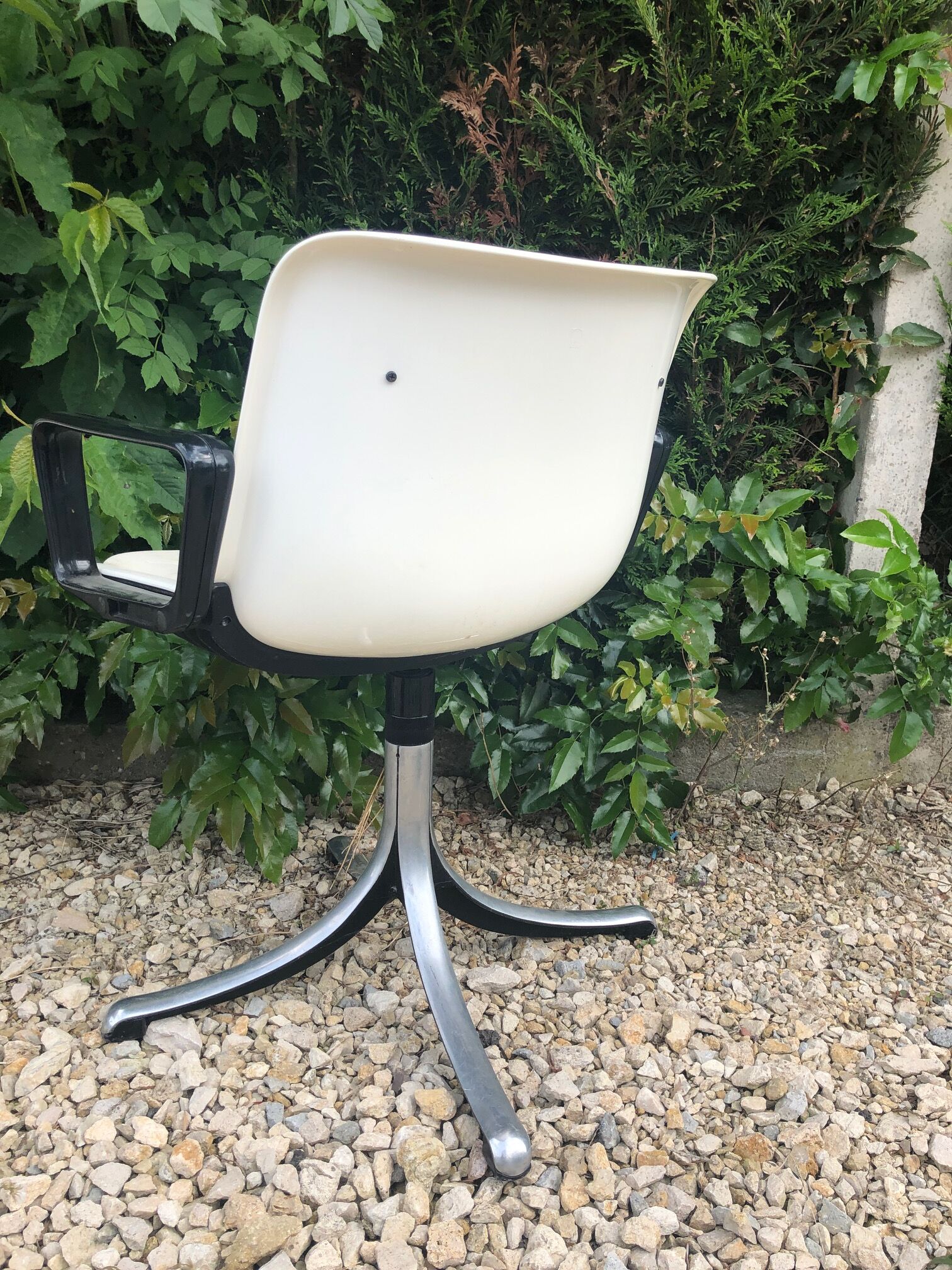 Pair of office chairs Modus Osvaldo Borsani edited by Tecno