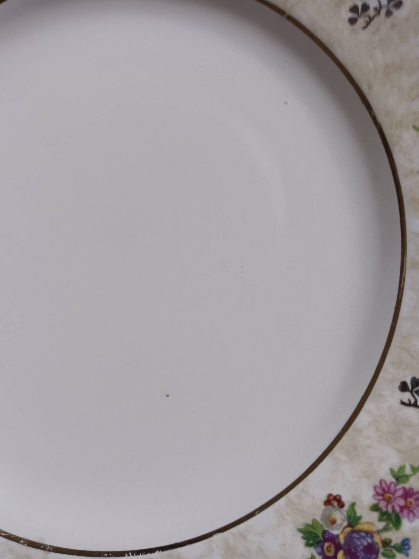 Set of 6 flat plates Salins model Simone beige with flowers.