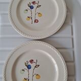 Duo d assiettes baies tendres
