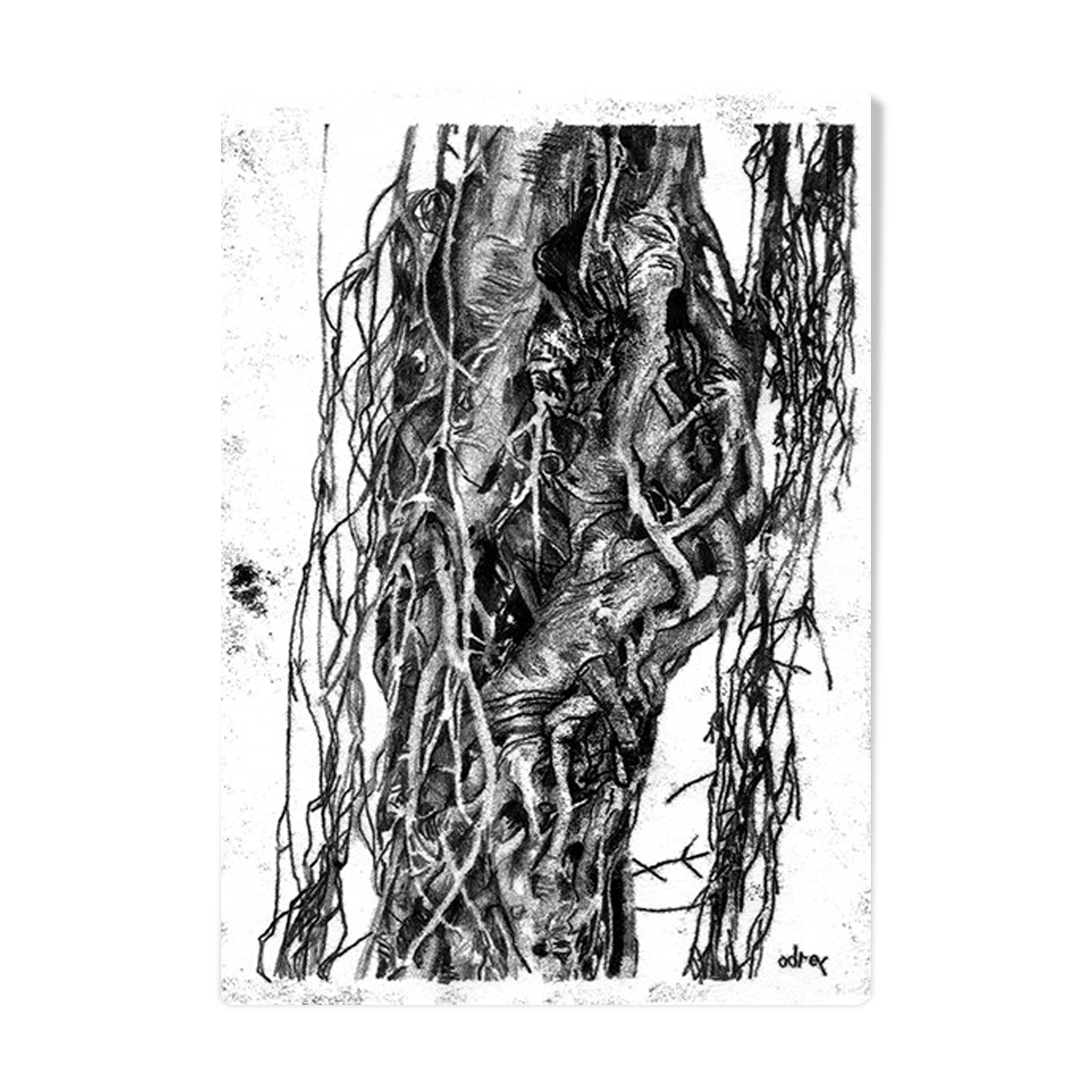 Monotype original "méandres", illustration