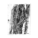 Monotype original "méandres", illustration