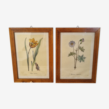 Paire de cadres vintage aquarelles fleurs