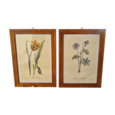 Paire de cadres vintage aquarelles fleurs