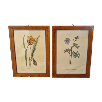 Paire de cadres vintage aquarelles fleurs