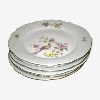 Set de 6 assiettes à dessert en porcelaine décor oiseau de paradis