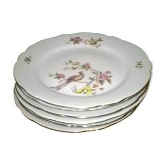 6 dessert plates, porcelain, bird décor of paradise