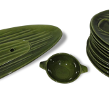 Asparagus 50 years service