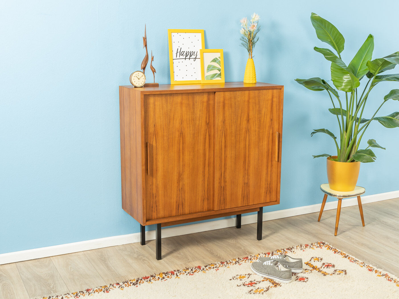 1960s shoe cabinet