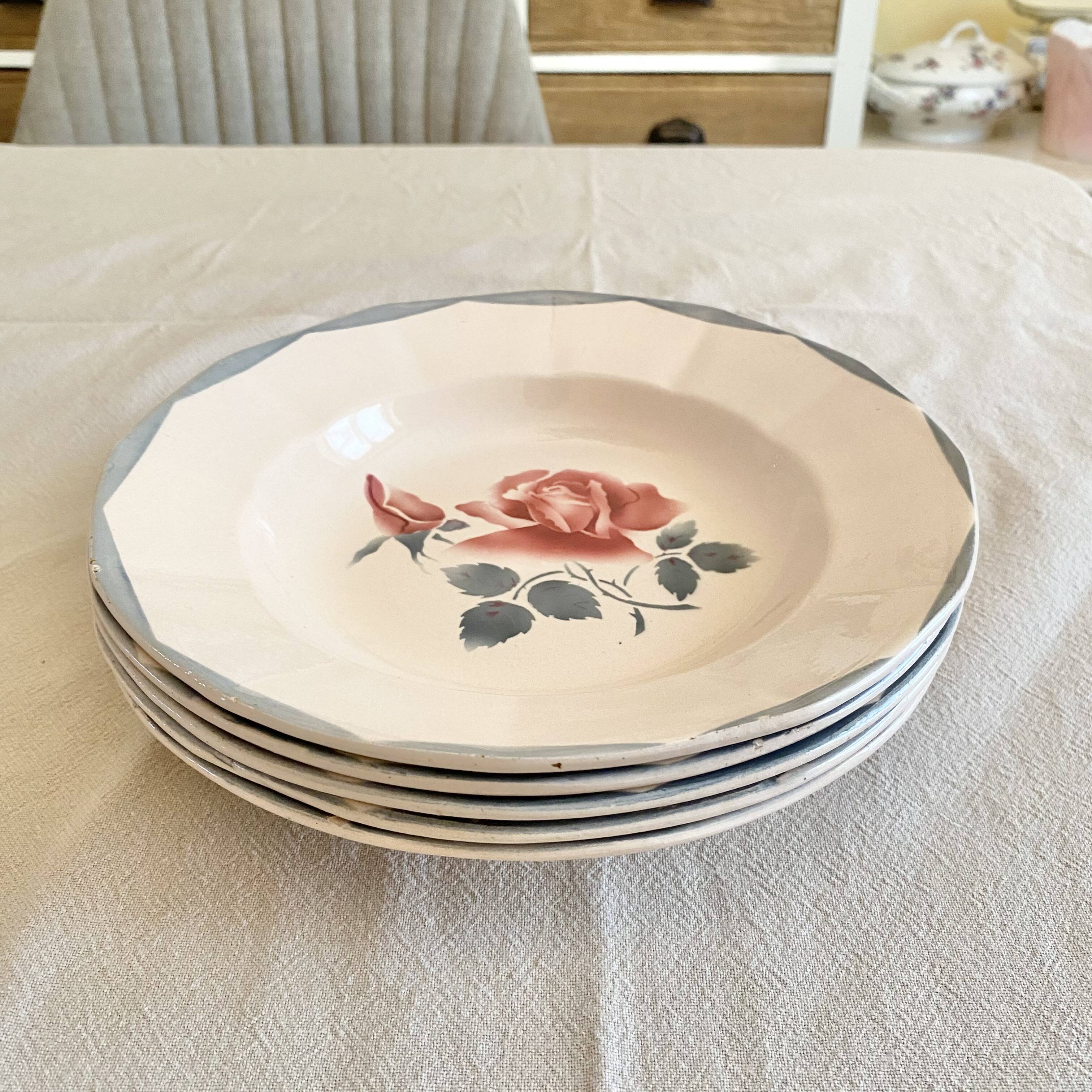 Digouin iron earth soup plates