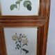 Armoire vintage en rotin