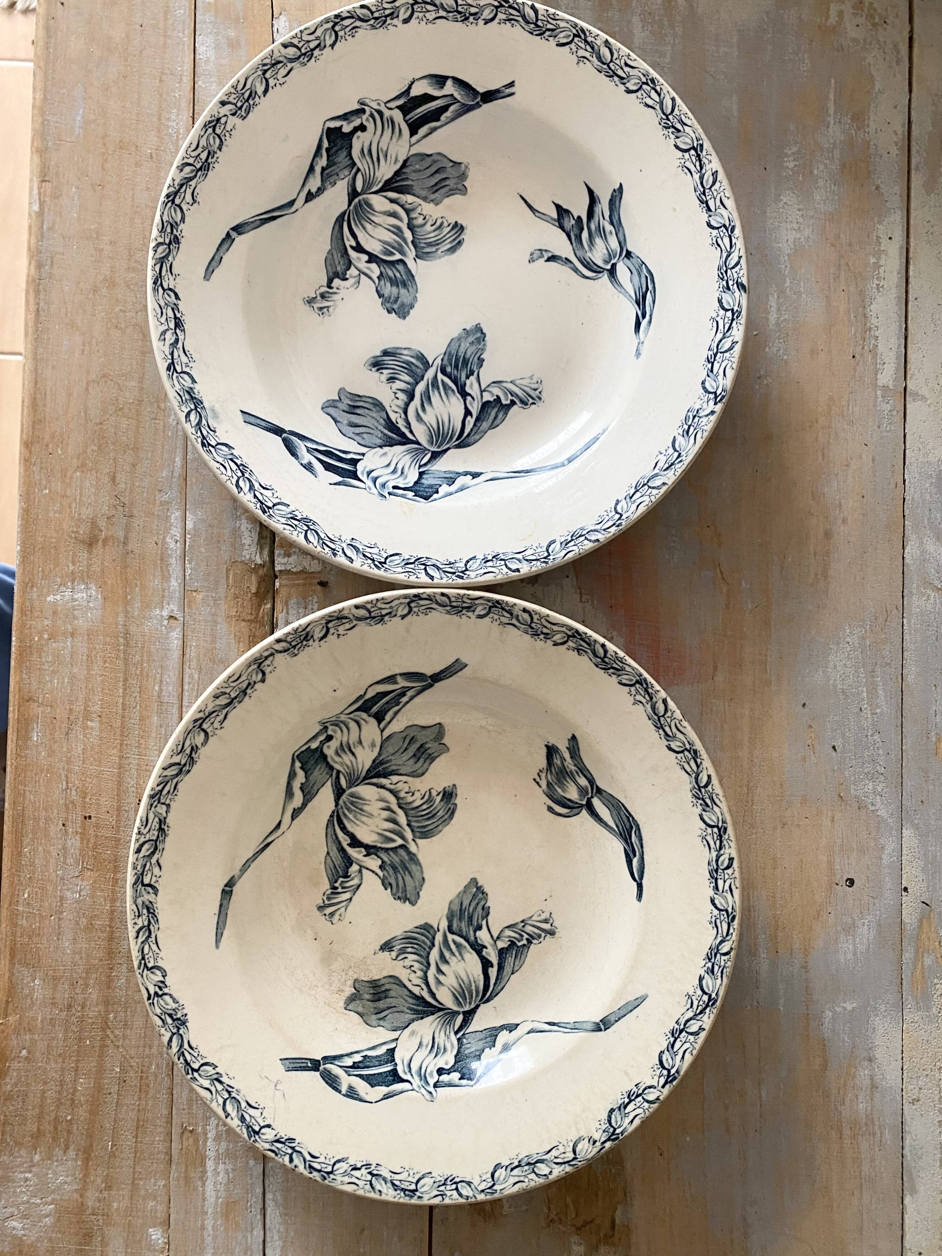 Luneville Tulips ironstone soup plates