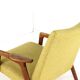 Pastoe Ruster Armchair by Yngve Ekstrom - Mid-Century Modern Design