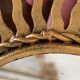 Sun mirror in gold metal 1950  21cm