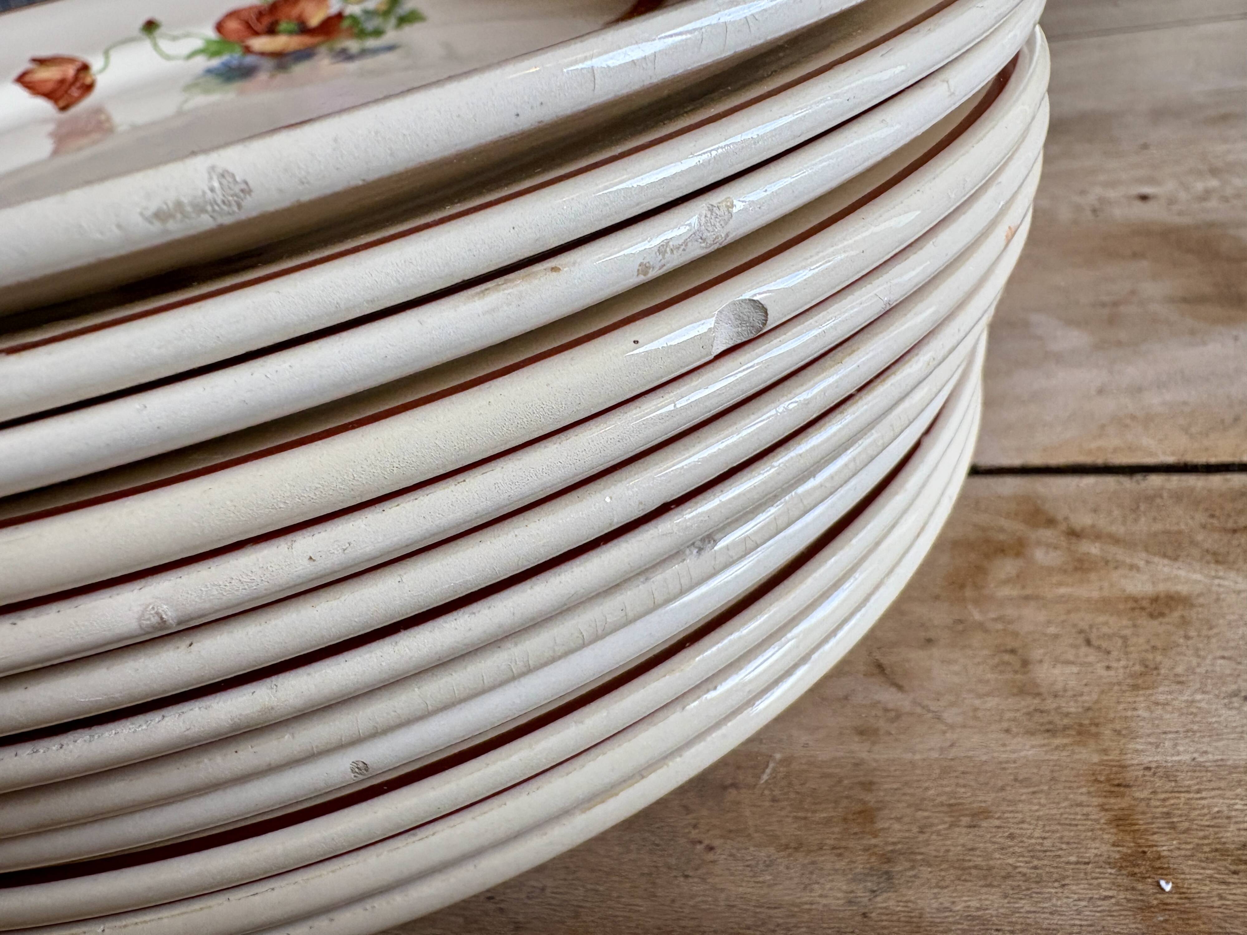 Set of 12 old flat plates with flower decorations - Salins