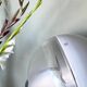 Focus table lamp Fabio Lenci