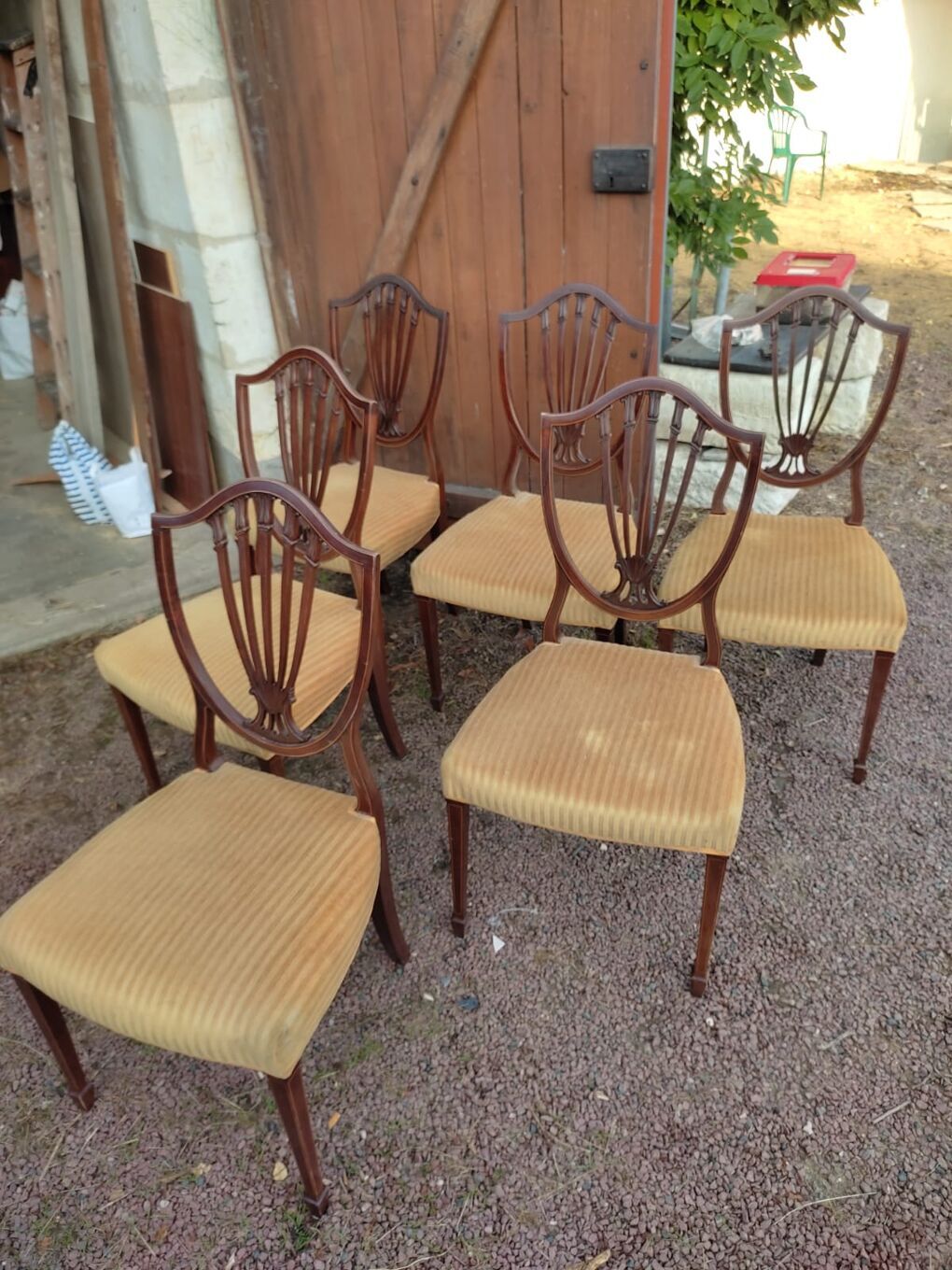 Rare, Victorian chairs nineteenth century. Vintage English hepplewhite chairs