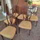 Rare, Victorian chairs nineteenth century. Vintage English hepplewhite chairs