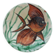 Plat Puigdemont Poisson 35 cm vintage