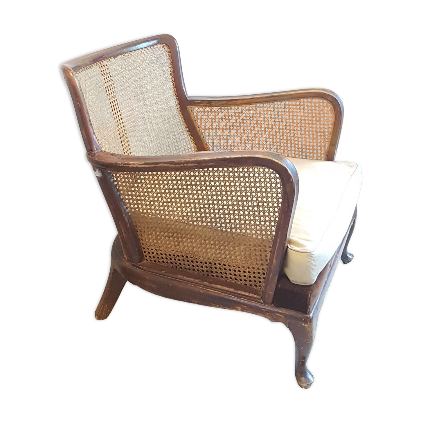 Steiner canna armchair