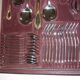 Besteke SBS Solingen housewives case in nickel chrome and gold gold