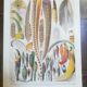 Lithographie sur les plumes de 1928