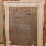 Shellfish and shells