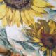 Plateau tournesol