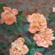 20th century signed still life