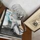 Swan neck wall light in stainless steel, thick glass shade, stainless steel rose.